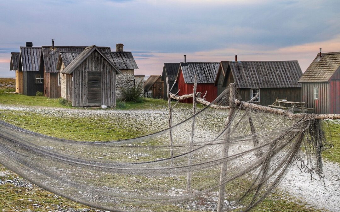 Fotoutställning – Fotoglädje