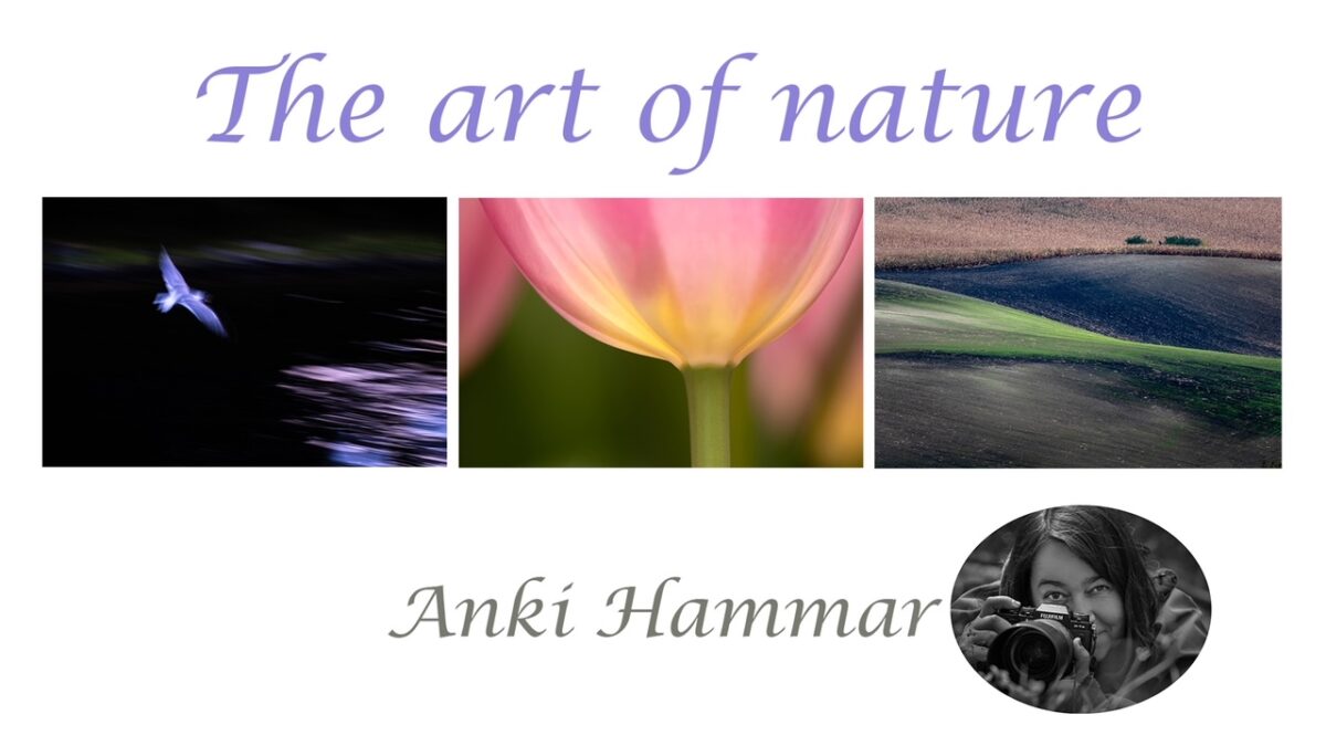 Anki Hammar The art of nature