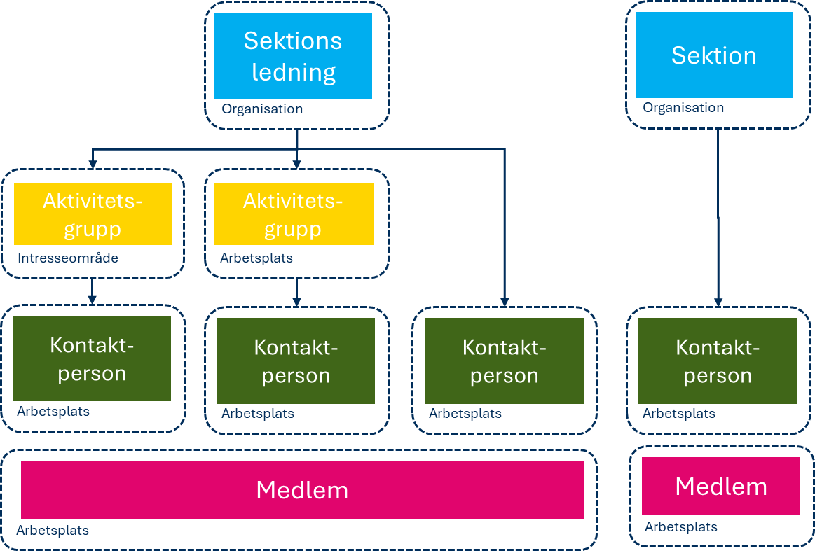 Organisation sektion