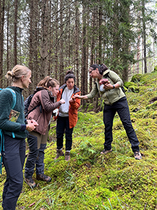 fyra personer tittar på svamp