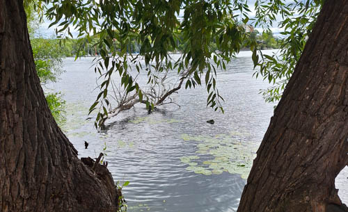 thumbnail_image001-2