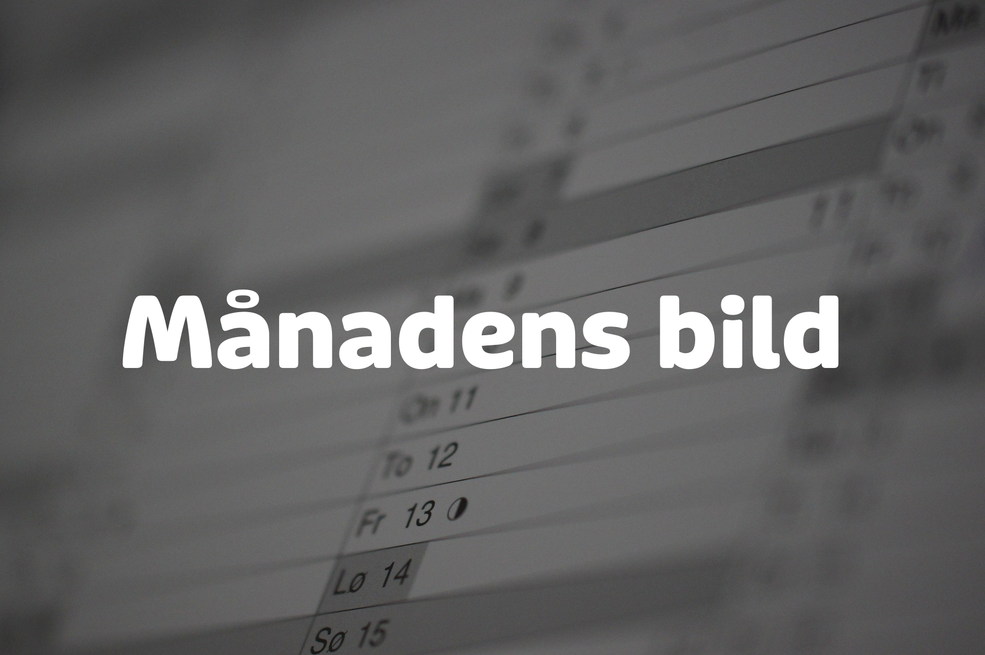 Månadens bild